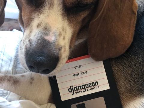 Theo got a cool badge from Djangocon Europe 2019