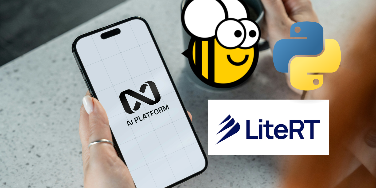 LiteRT_BeeWare_Python_Mobile