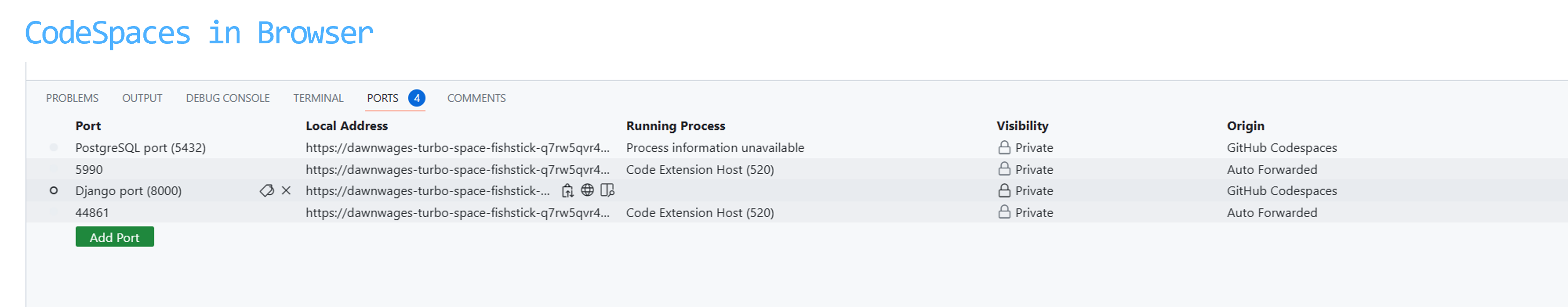 codespaces_ports.png
